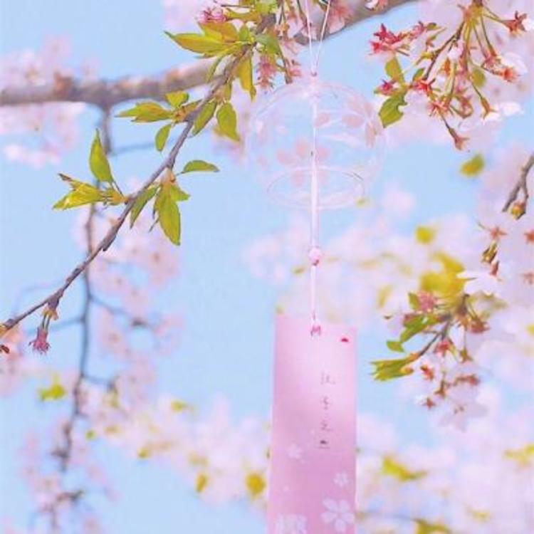 松尾谕（饰 未知角色） - 悬疑剧集完整在线观看 - 客户端观看